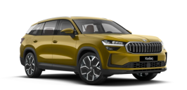 Accessories to car KODIAQ