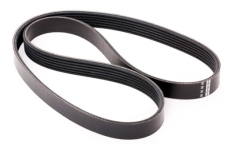 Пас генератора полiклиновий (036145933AJ)