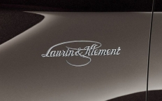 Надпись хром KAROQ (3T0853431A2ZZ)