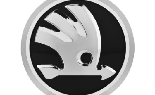 Емблема (6V0853621B) 1