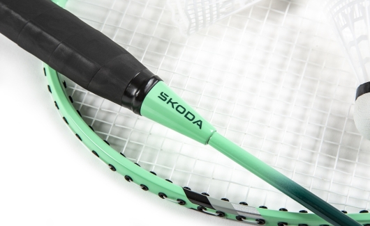 Набір для бадмінтону (6U0050540) 2