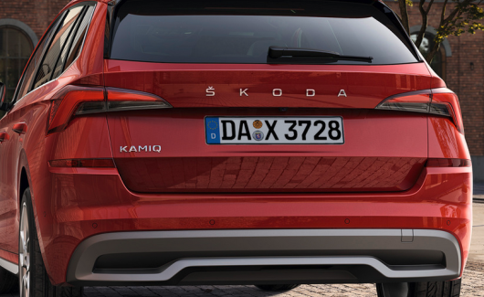 Эмблема (658853687C2ZZ) 1