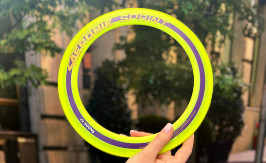 Літаюче кільце SKODA iV (25см) (000087703NB) 5